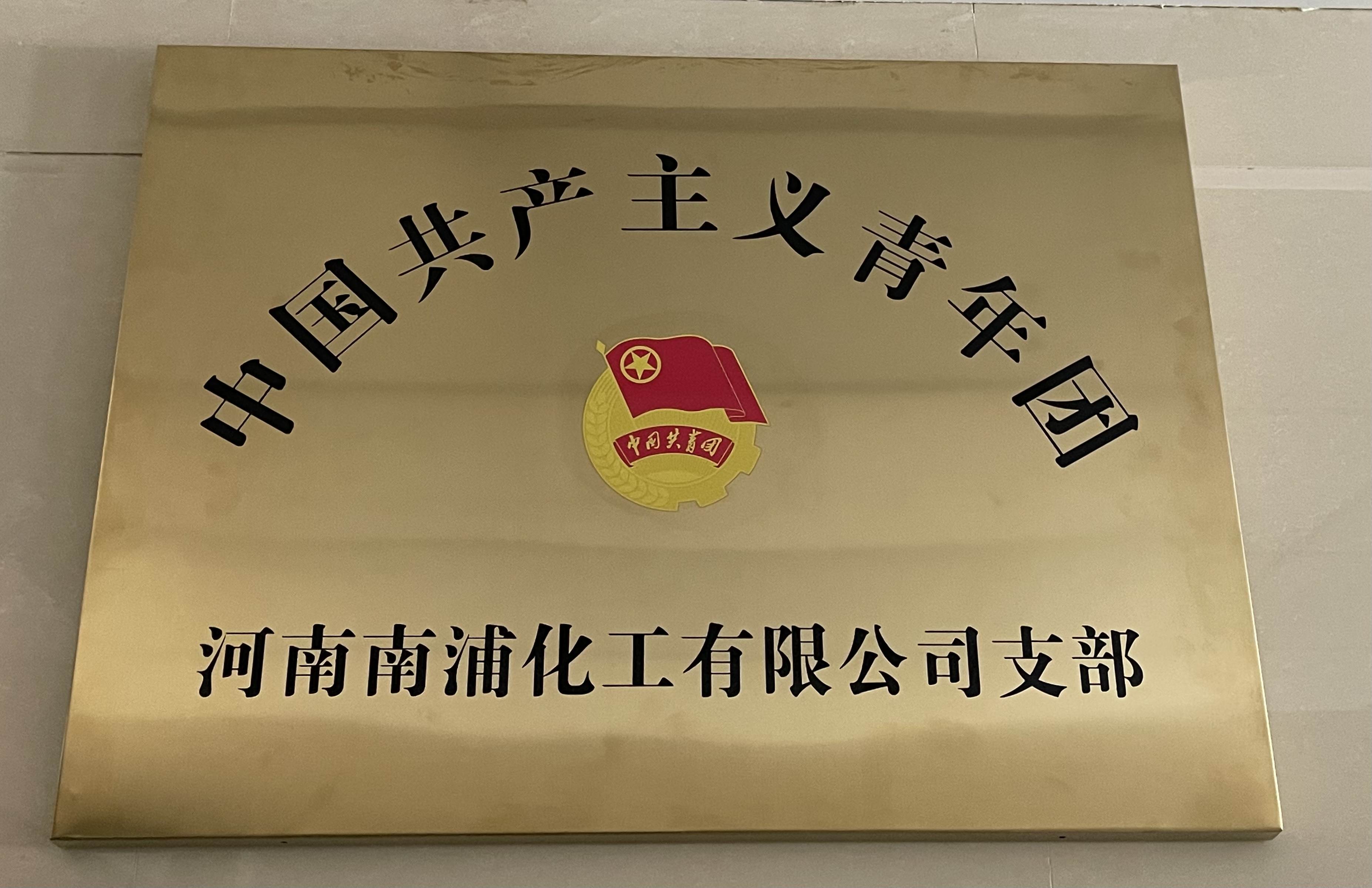 汇聚青春力量，诠释青年担当，河南南浦化工有限公司团支部正式成立，团建再添新活力